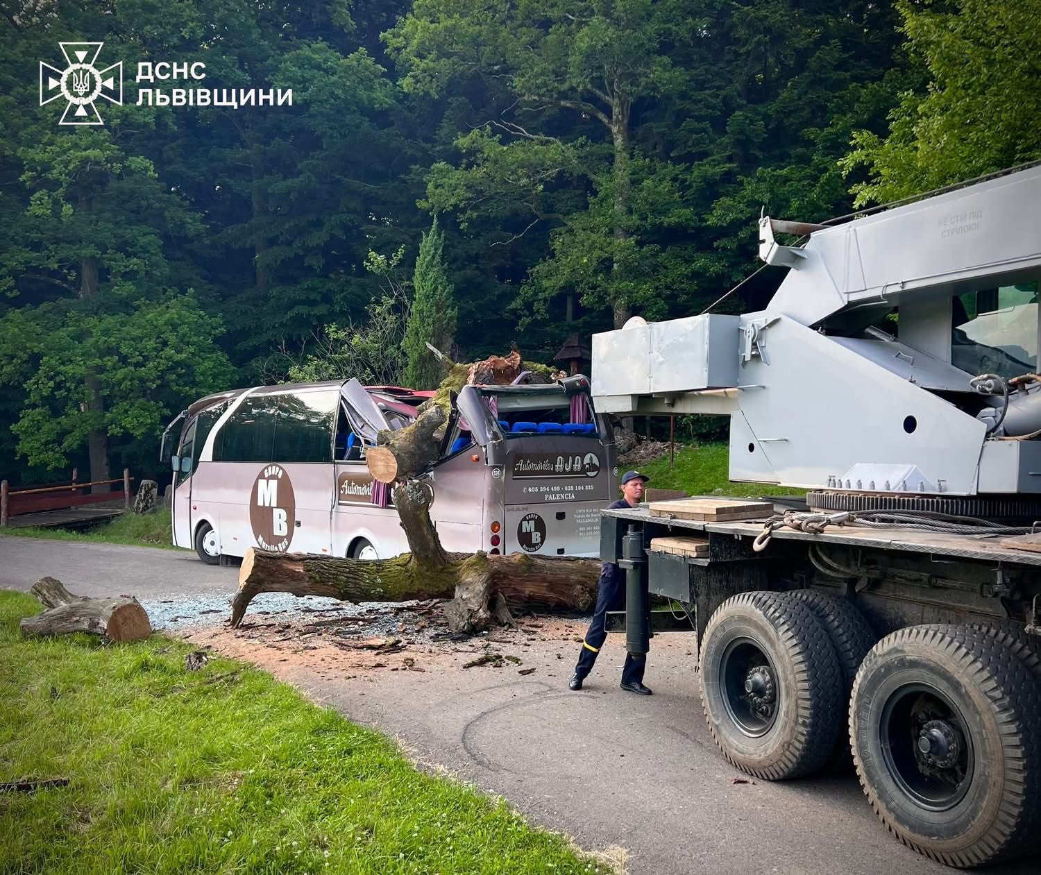 На Львівщині дерево впало на екскурсійний автобус - 5