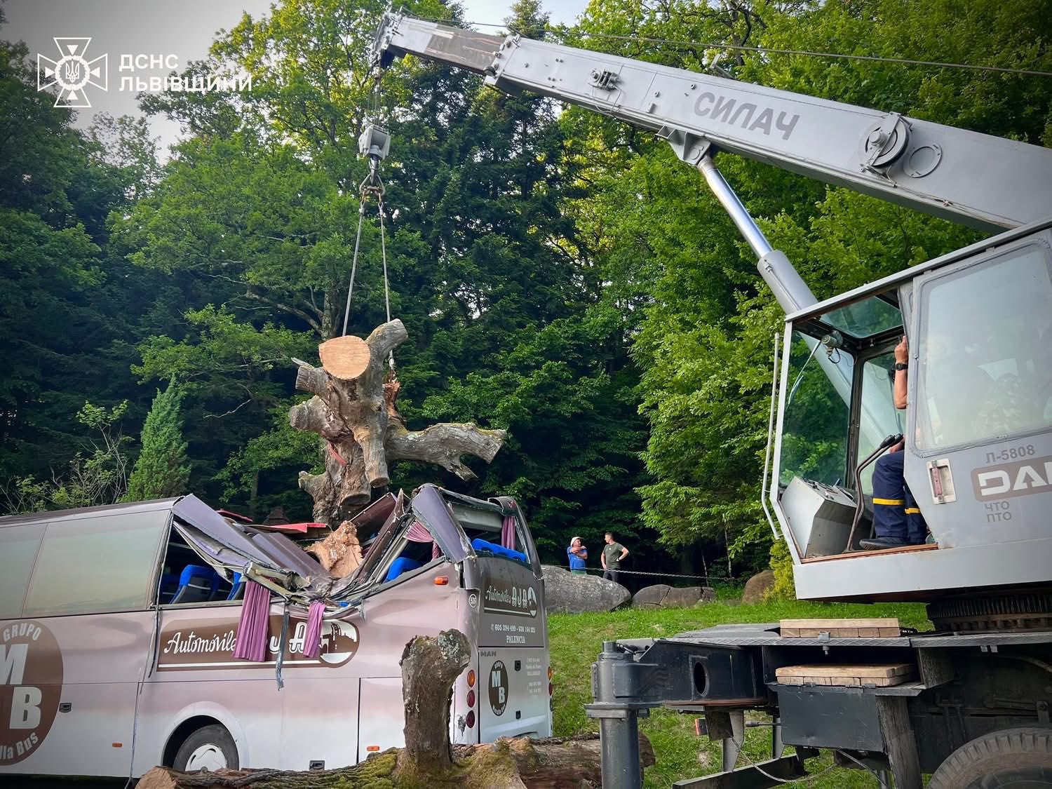 На Львівщині дерево впало на екскурсійний автобус - 6