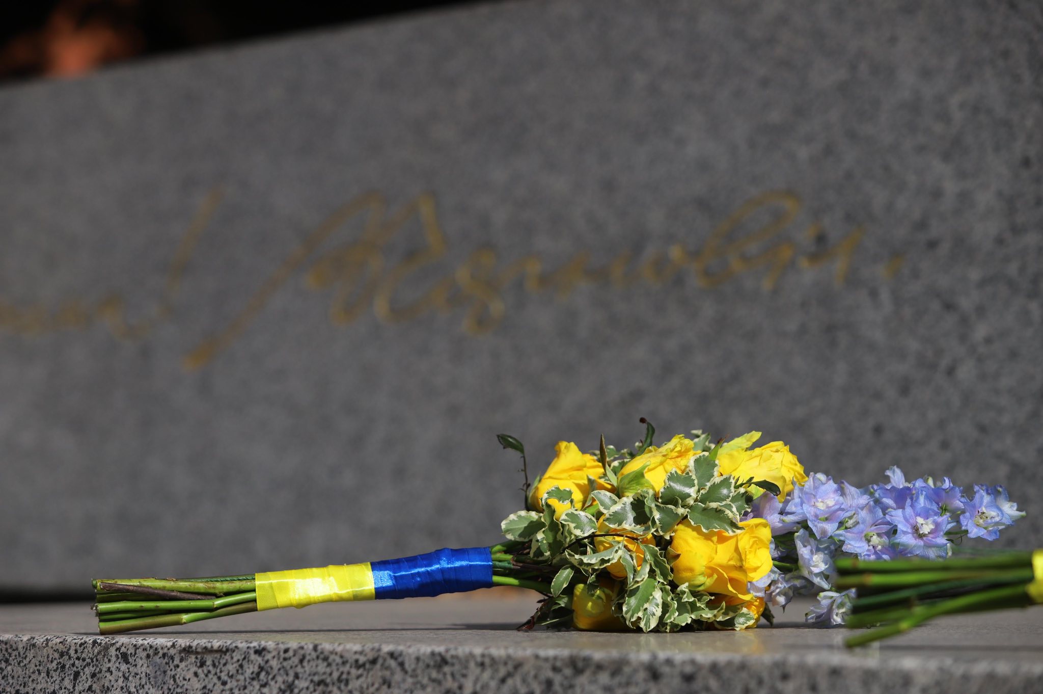 З нагоди Дня Конституції у Львові урочисто підняли національний прапор - 7