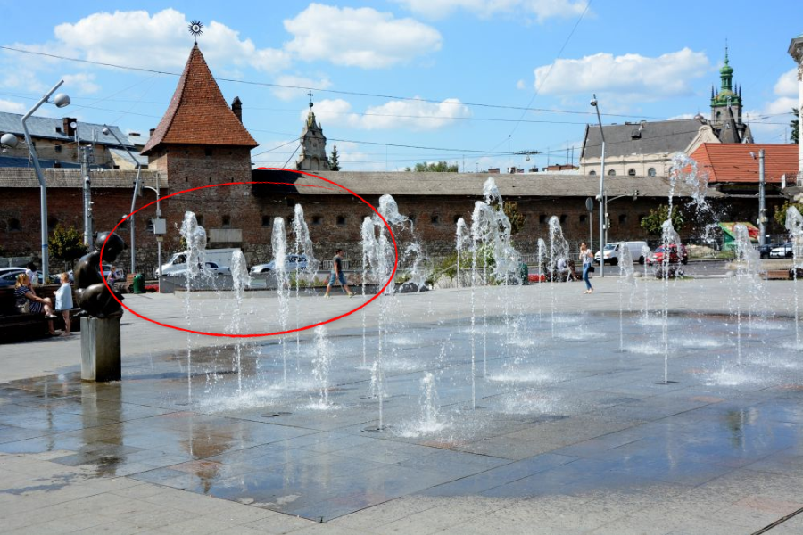 Озеленення громадських просторів Львова: проблеми, витрати і реальні масштаби робіт - 8