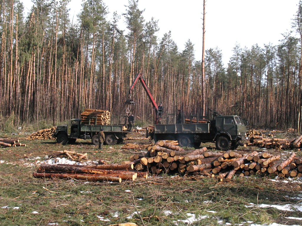 Лісова галузь Львівщини: які є проблеми що варто змінити - 2