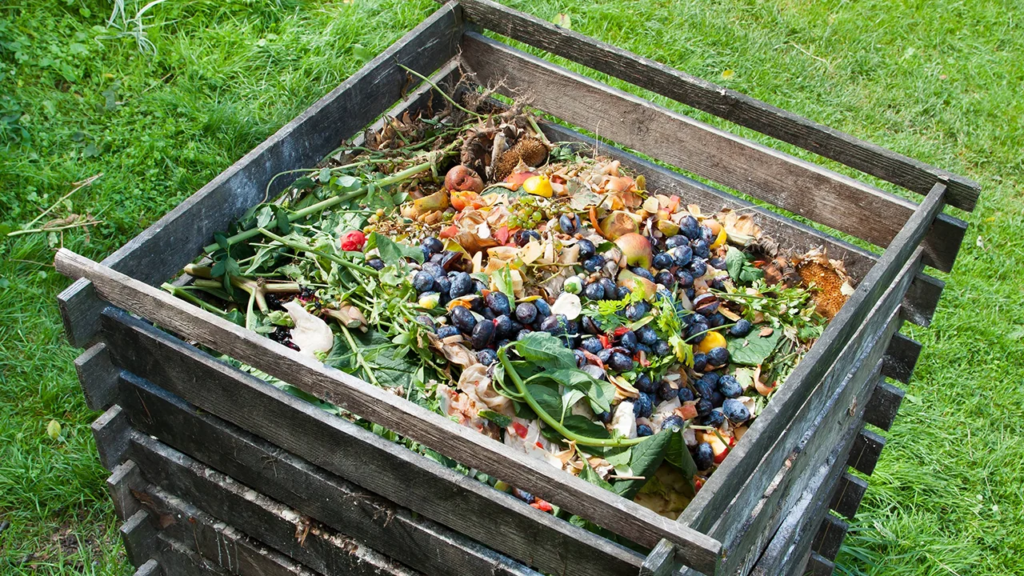 Де у Львові можна компостувати сміття та які помилки найчастіше роблять - 4