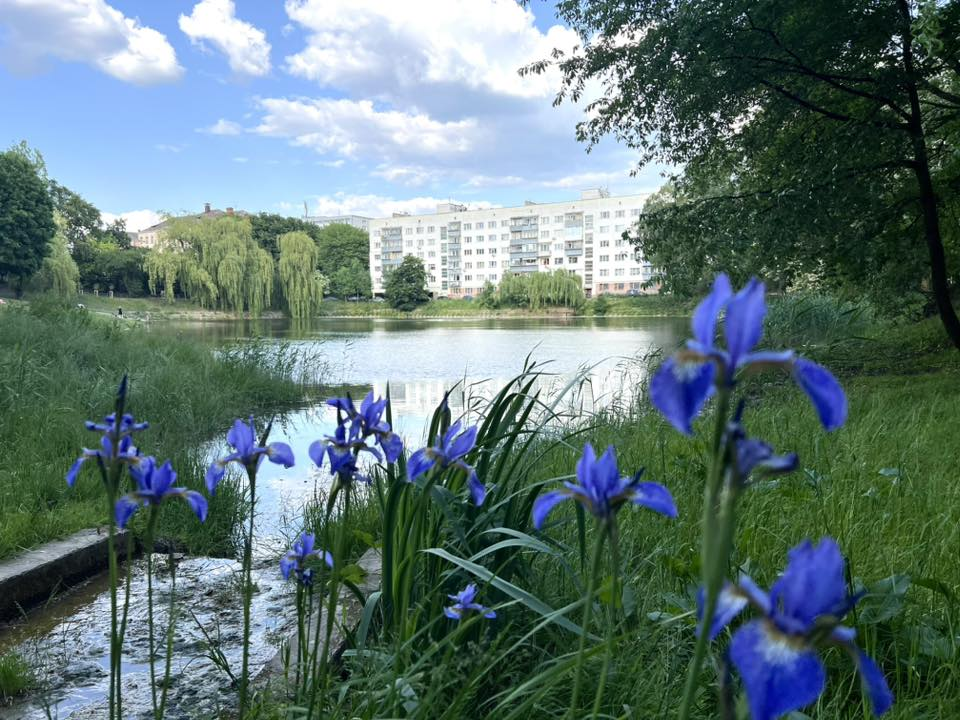 Де у Львові сходити на пікнік: добірка локацій - 14
