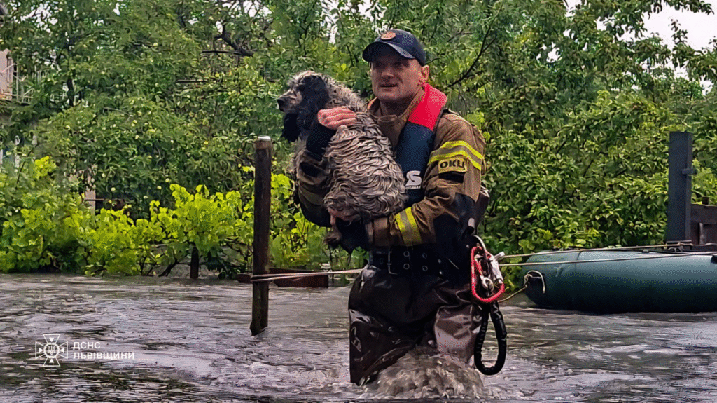 Якою є якість води у львівській річці Зубрі та чи є шанси, що її «відкриють» для мешканців області - 12
