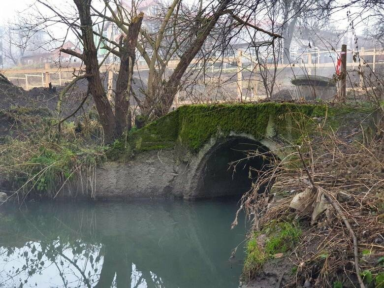 Якою є якість води у львівській річці Зубрі та чи є шанси, що її «відкриють» для мешканців області - 5