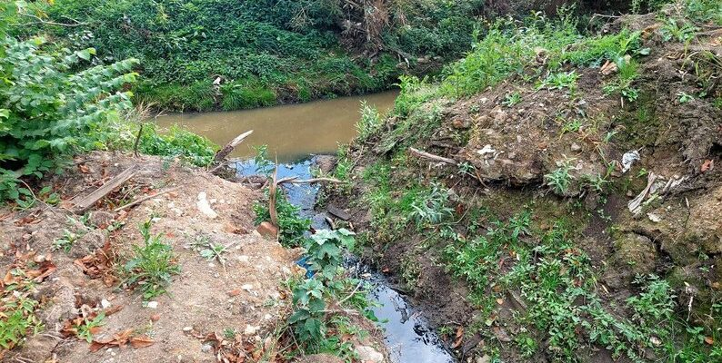 Якою є якість води у львівській річці Зубрі та чи є шанси, що її «відкриють» для мешканців області - 15