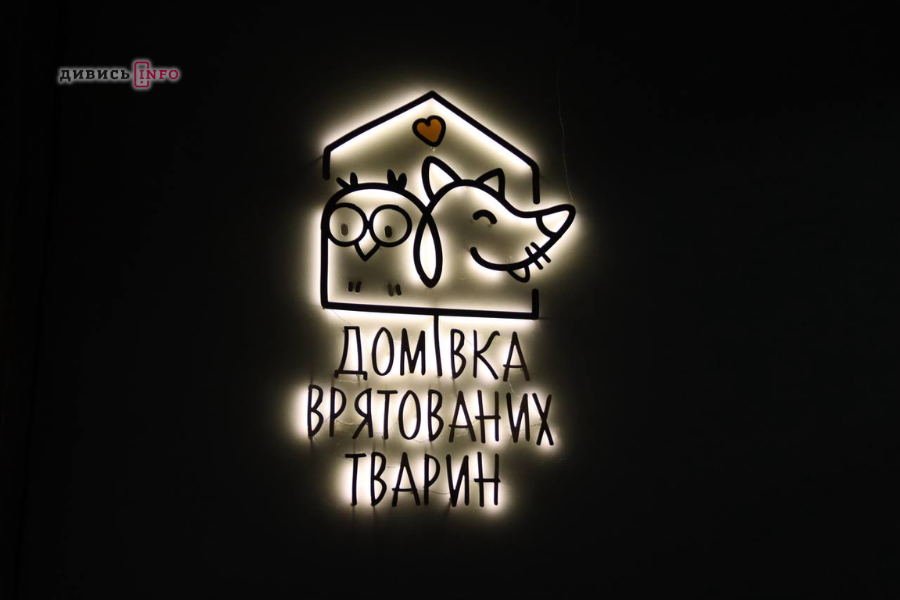 Міграція рукокрилих на Львівщині: поради для тих, хто знайшов кажана - 15