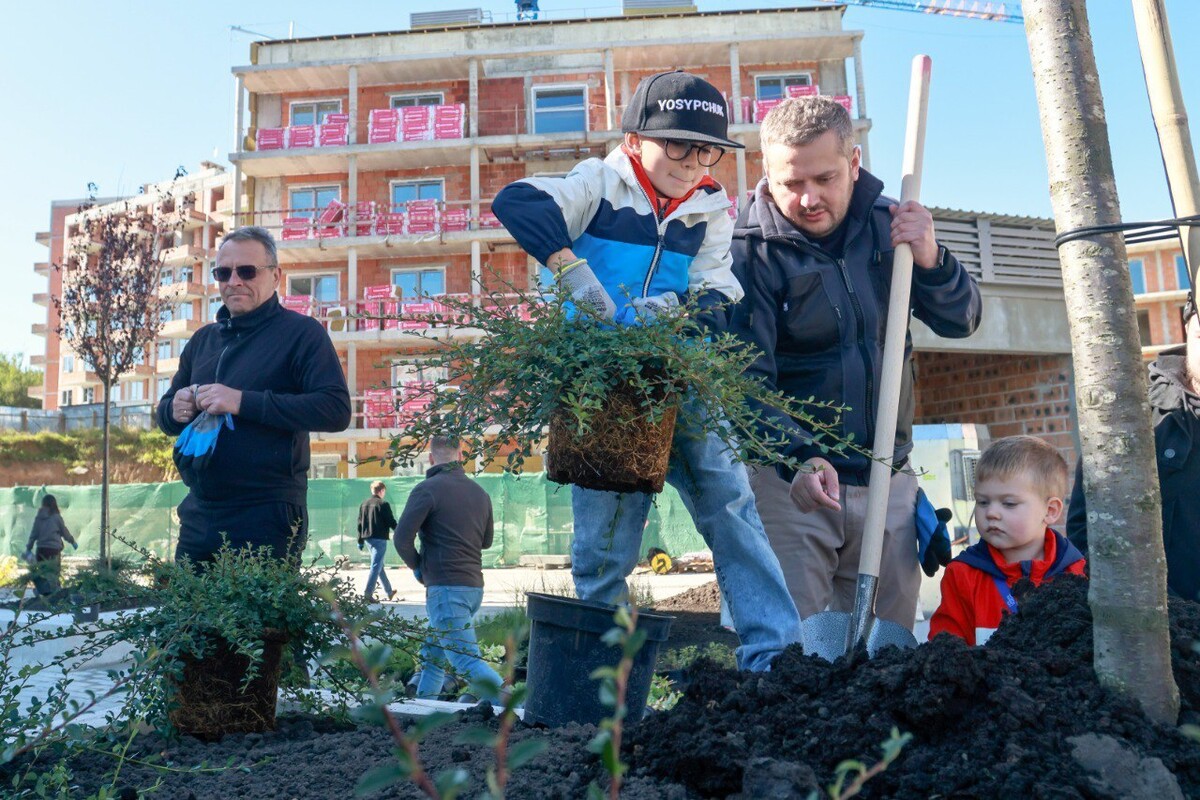 Мешканці соціального житла на вул. Миколайчука разом озеленили свій простір - 3