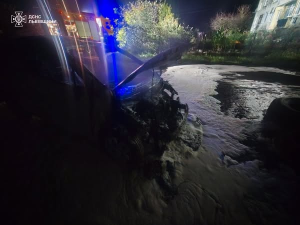 На Львівщині вщент згорів електромобіль - 2