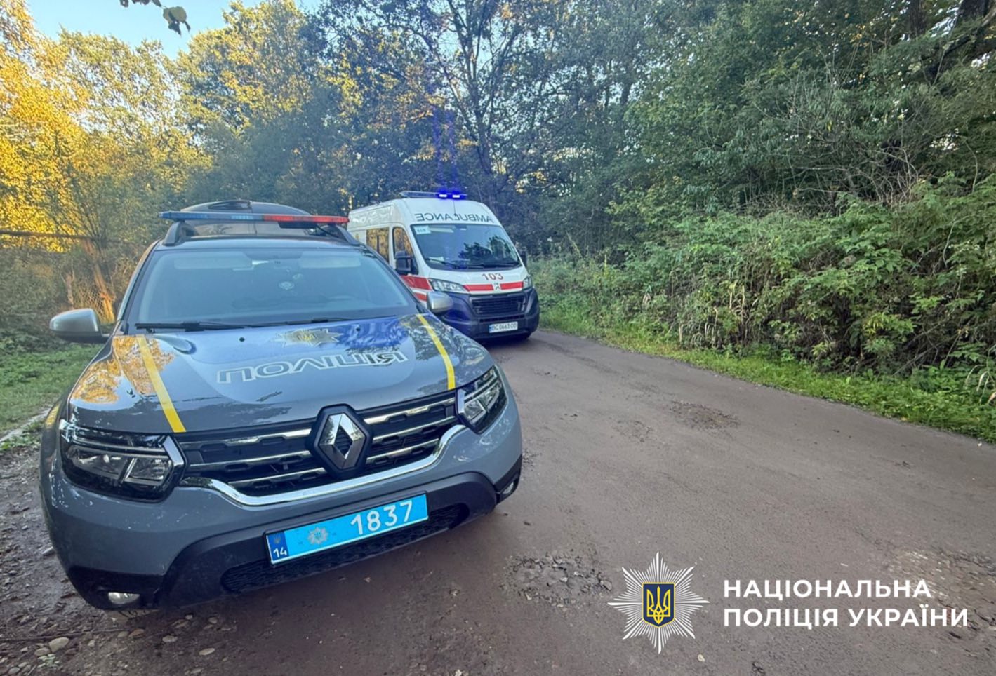 На Львівщині розшукали зниклого 16-річного хлопця: його стан тяжкий - 3