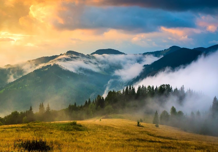 karpaty-tsikavi-fakty