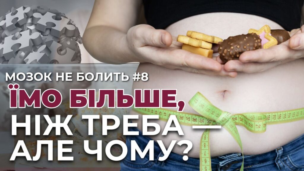 Проблеми з електрикою через негоду, породисті собаки для війська, культурні події Львова: головні новини дня - 5