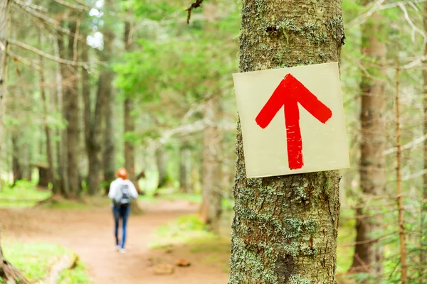 туристичний маршрут