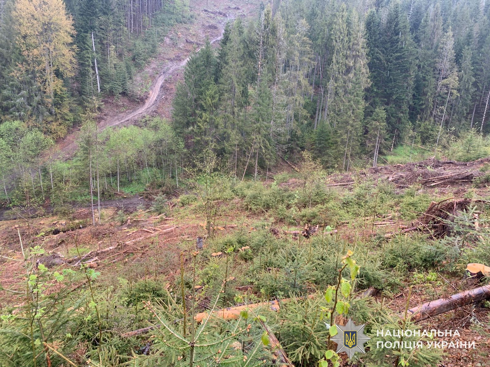 569500989_1245818390923263_8521457083333041917_n