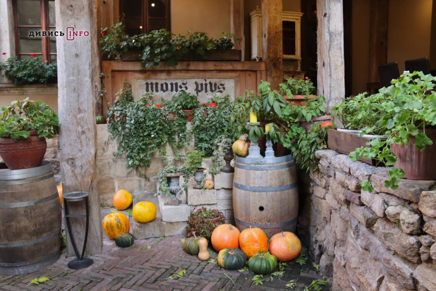 Де у центрі Львова шукати осінню атмосферу: добірка локацій для фото - 1