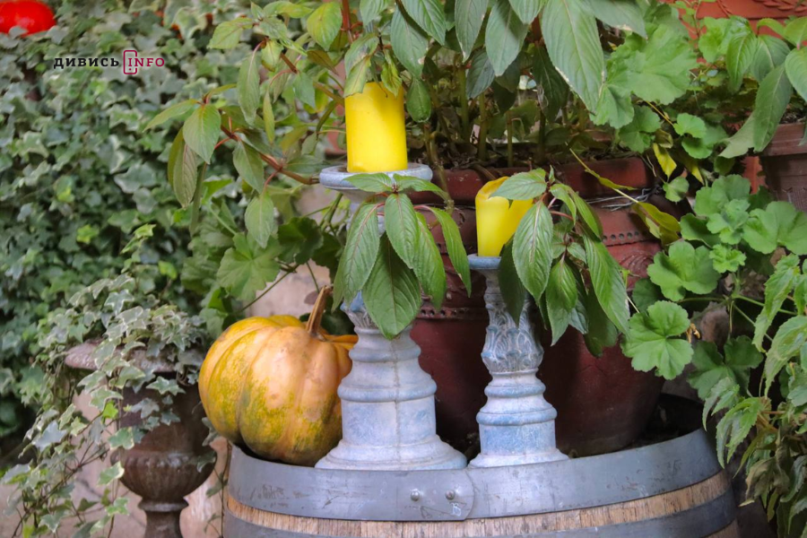 Де у центрі Львова шукати осінню атмосферу: добірка локацій для фото - 2