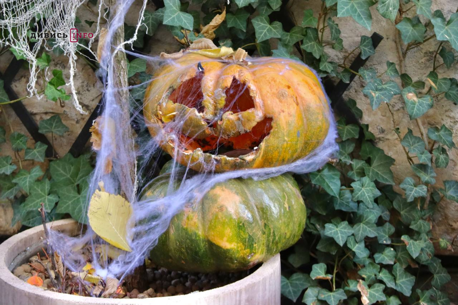 Де у центрі Львова шукати осінню атмосферу: добірка локацій для фото - 10