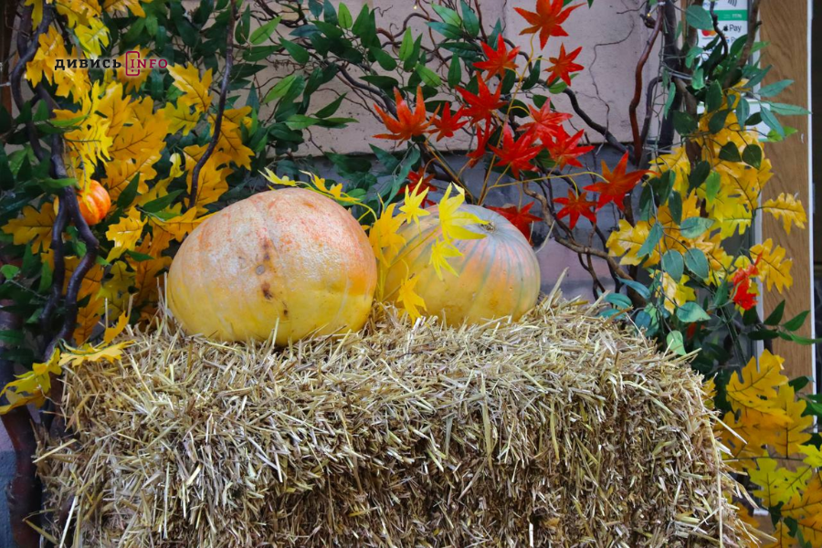 Де у центрі Львова шукати осінню атмосферу: добірка локацій для фото - 19