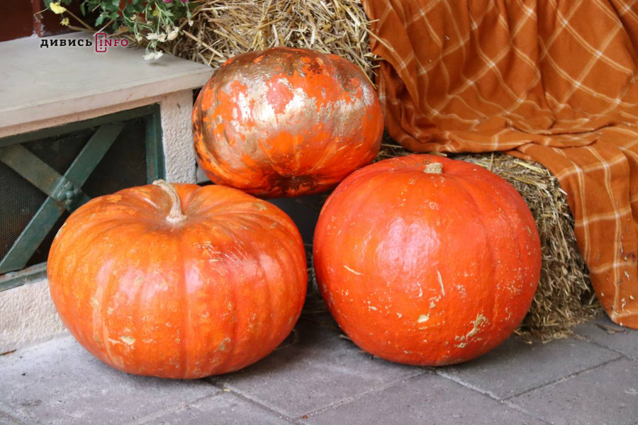 Де у центрі Львова шукати осінню атмосферу: добірка локацій для фото - 26