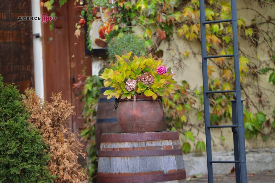 фото - 2025-10-30T171755.761