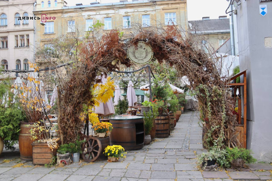 Де у центрі Львова шукати осінню атмосферу: добірка локацій для фото - 33