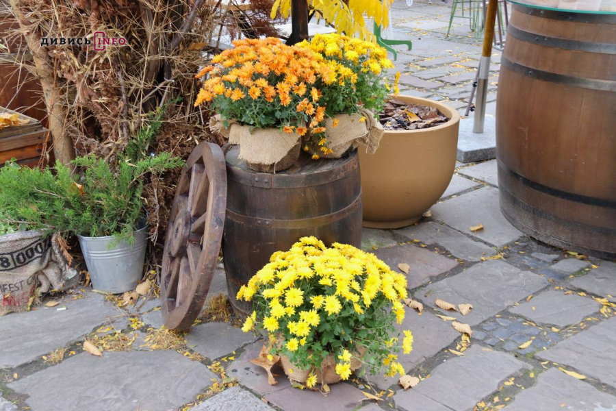 Де у центрі Львова шукати осінню атмосферу: добірка локацій для фото - 34