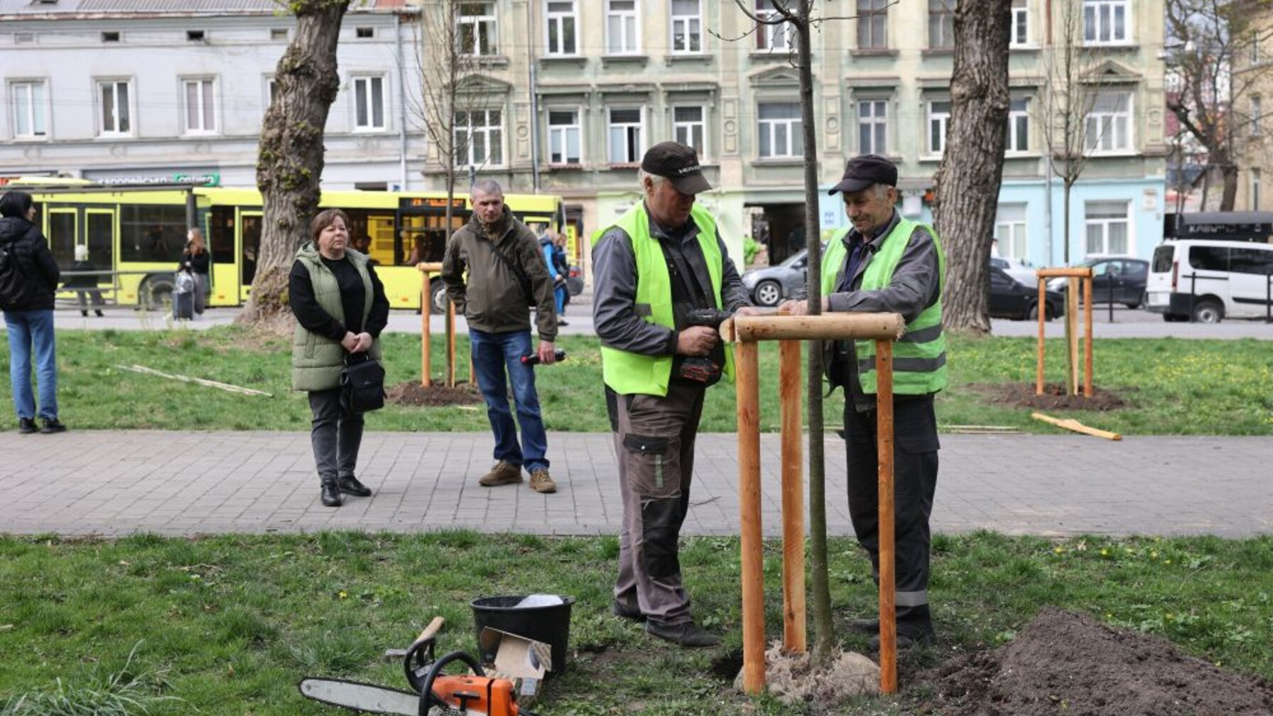 дерева