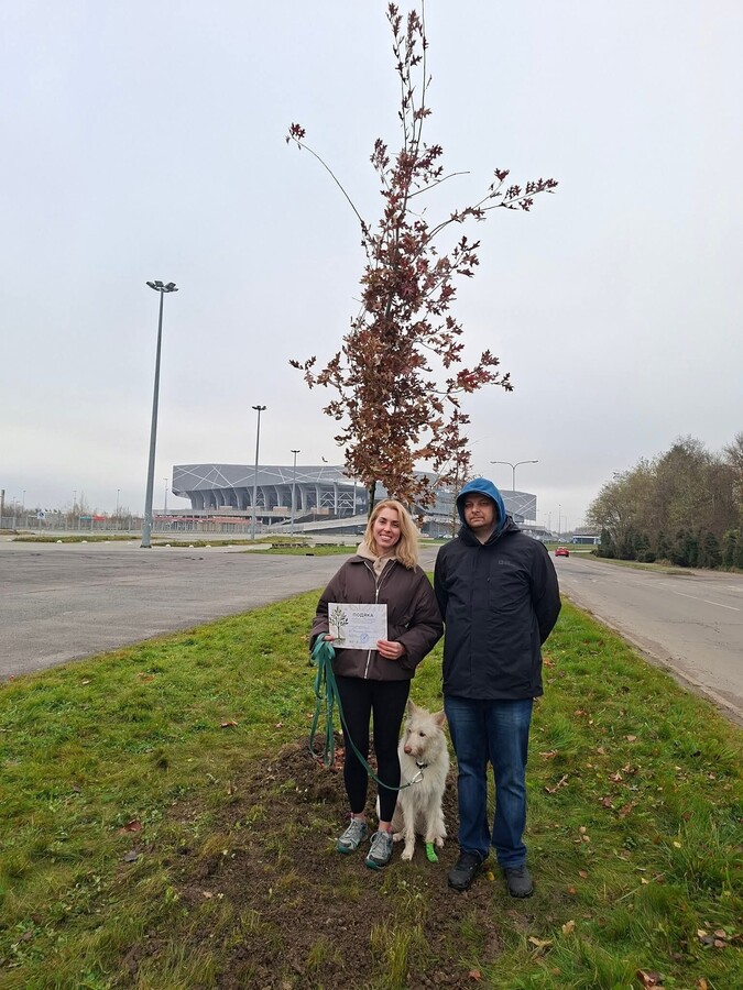 На Сихові висадили 125 дерев та кущів в межах акції «Подаруй місту дерево» - 7