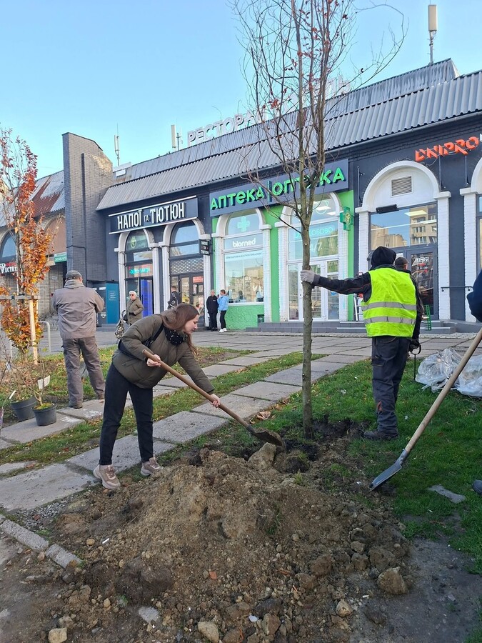 На Сихові висадили 125 дерев та кущів в межах акції «Подаруй місту дерево» - 9