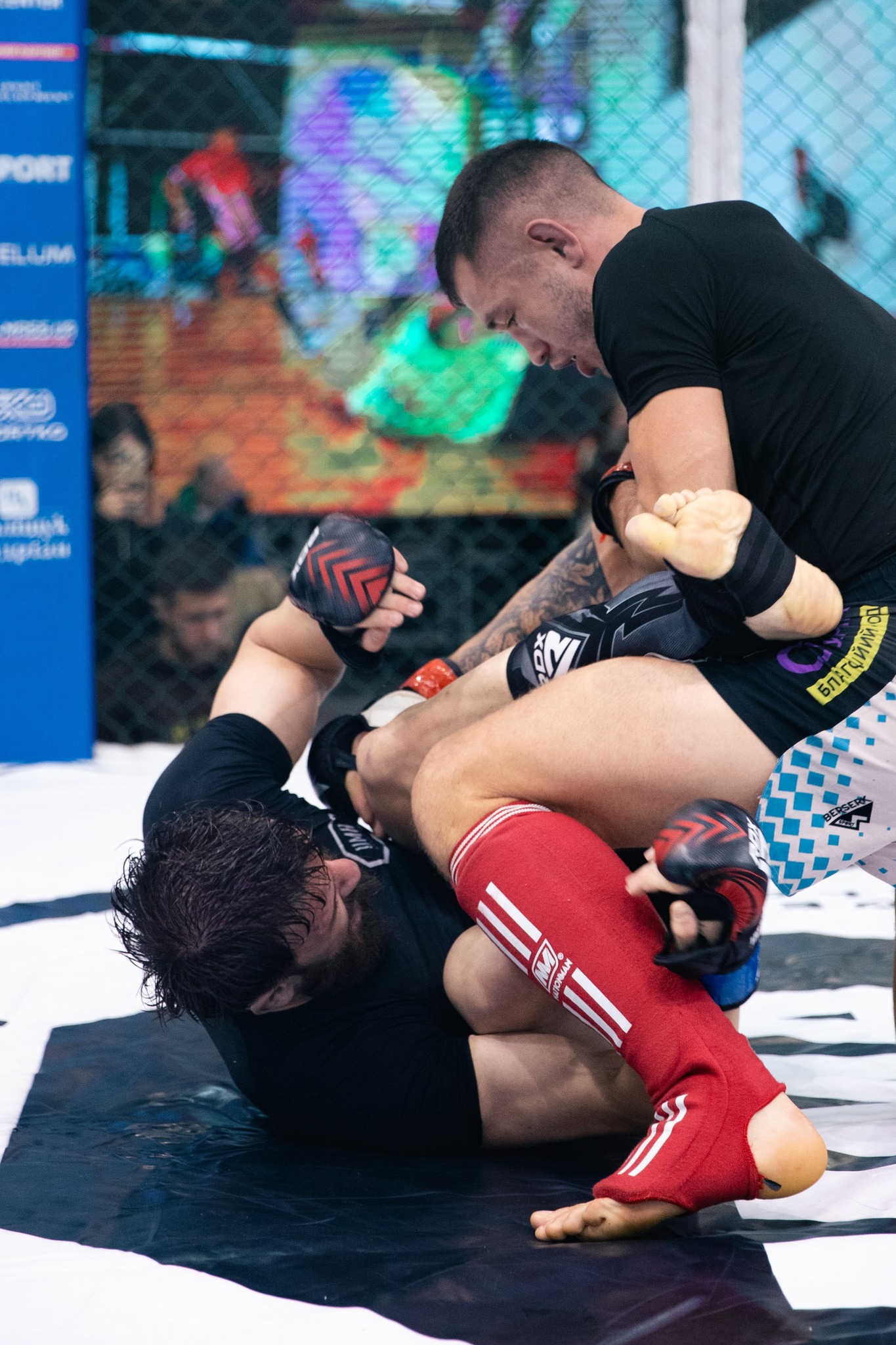 Львівщина прийняла «Lemberg Fight Cup» — один із найбільших турнірів ММА в Україні - 9