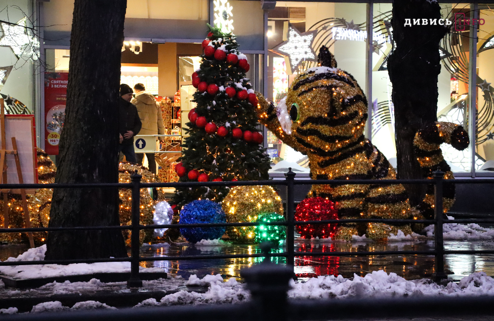 Львів у новорічно-різдвяних деталях: світлини зі святкових локацій - 32