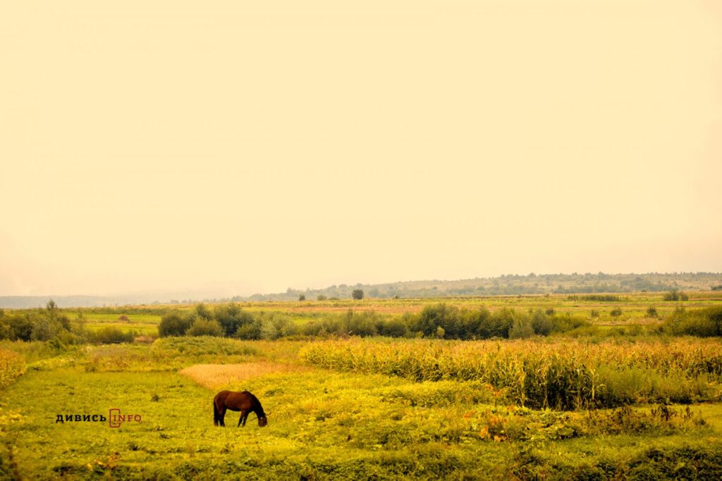 Архітектурна премія ЄС, генплан Львова та нові виплати за народження дитини: головні новини дня - 6