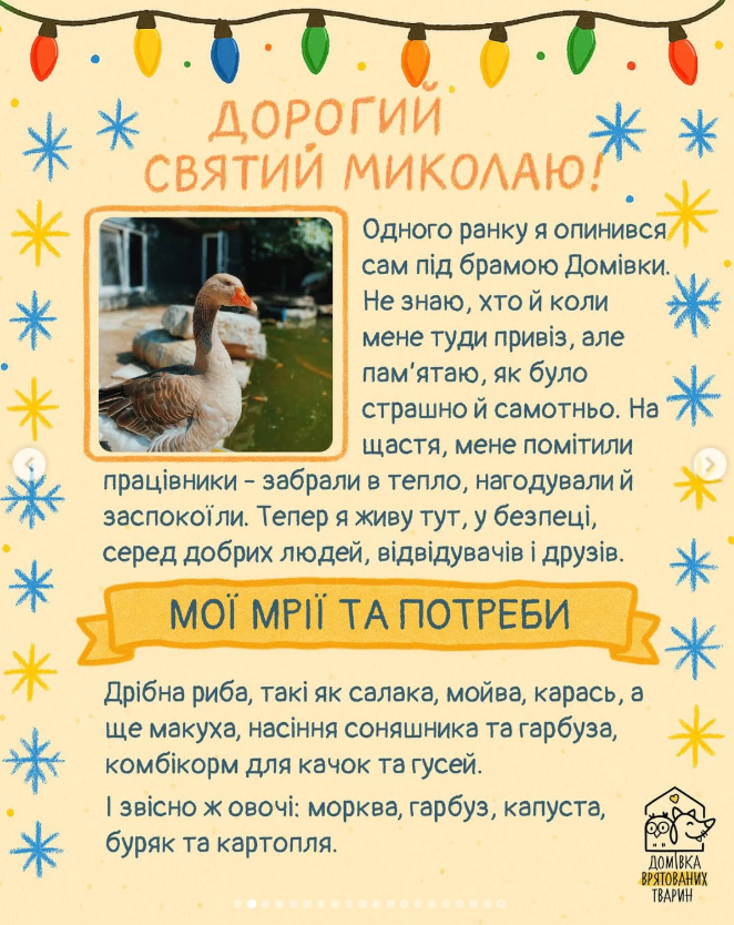 Які є благодійні ініціативи до дня Миколая та як до них долучитись у Львові - 6