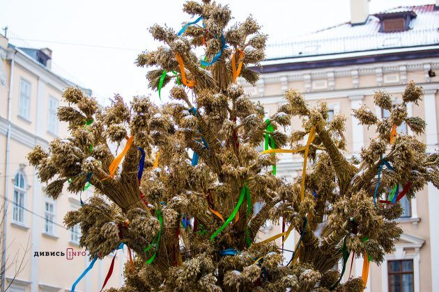 Які різдвяні події варто очікувати у Львові та звідки може бути ялинка - 3