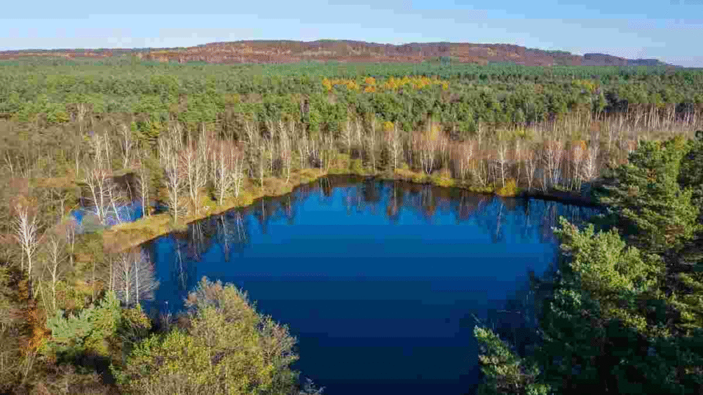 Печери, монастир та 1000-річний дуб: куди поїхати на Львівщині - 8