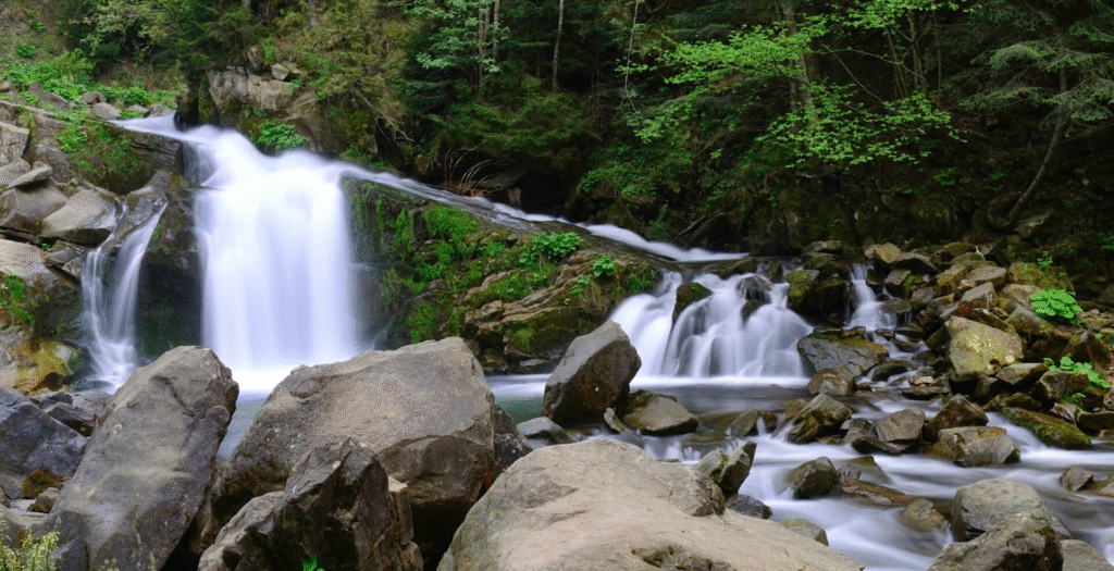 Печери, монастир та 1000-річний дуб: куди поїхати на Львівщині - 12