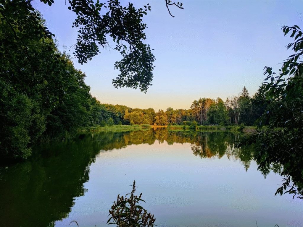 Печери, монастир та 1000-річний дуб: куди поїхати на Львівщині - 16