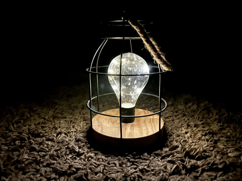 Знахідки на Цитаделі у Львові, порушення паркувань та культурні події: головні новини дня - 5