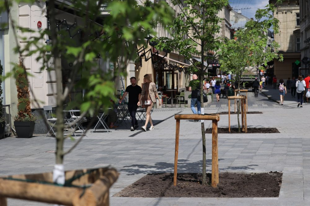 Скільки у Львові цього року зрізали та висадили нових дерев - 10