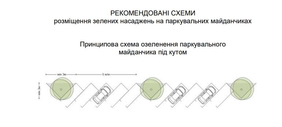 Новий стандарт озеленення місць паркування запроваджують у Львові - 2