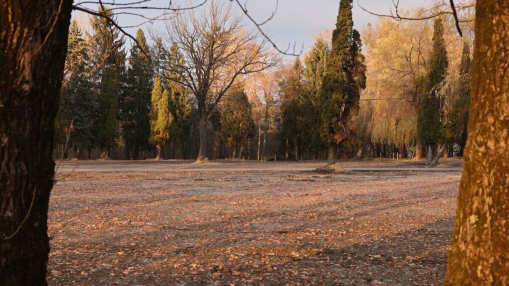 Реконструкція вулиці, реорганізація поліклінік та ініціативи для ветеранів у Львові: головні новини дня - 4