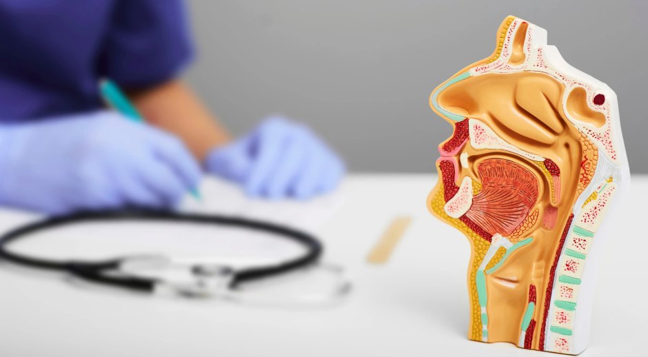 photo_5253729001950351175_y (1)