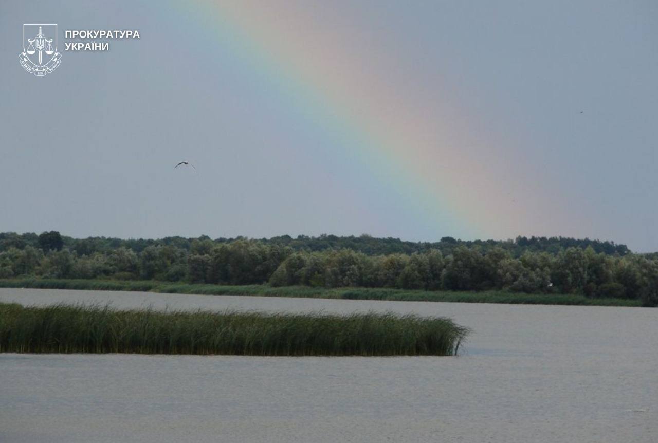 photo_5258390029308989079_y