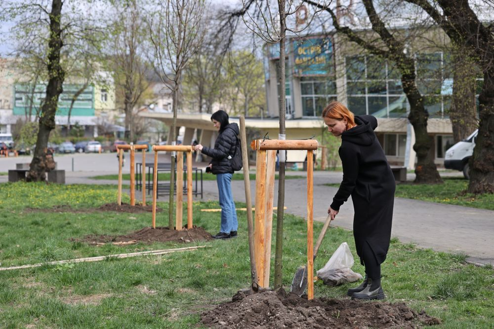 висадка дерев