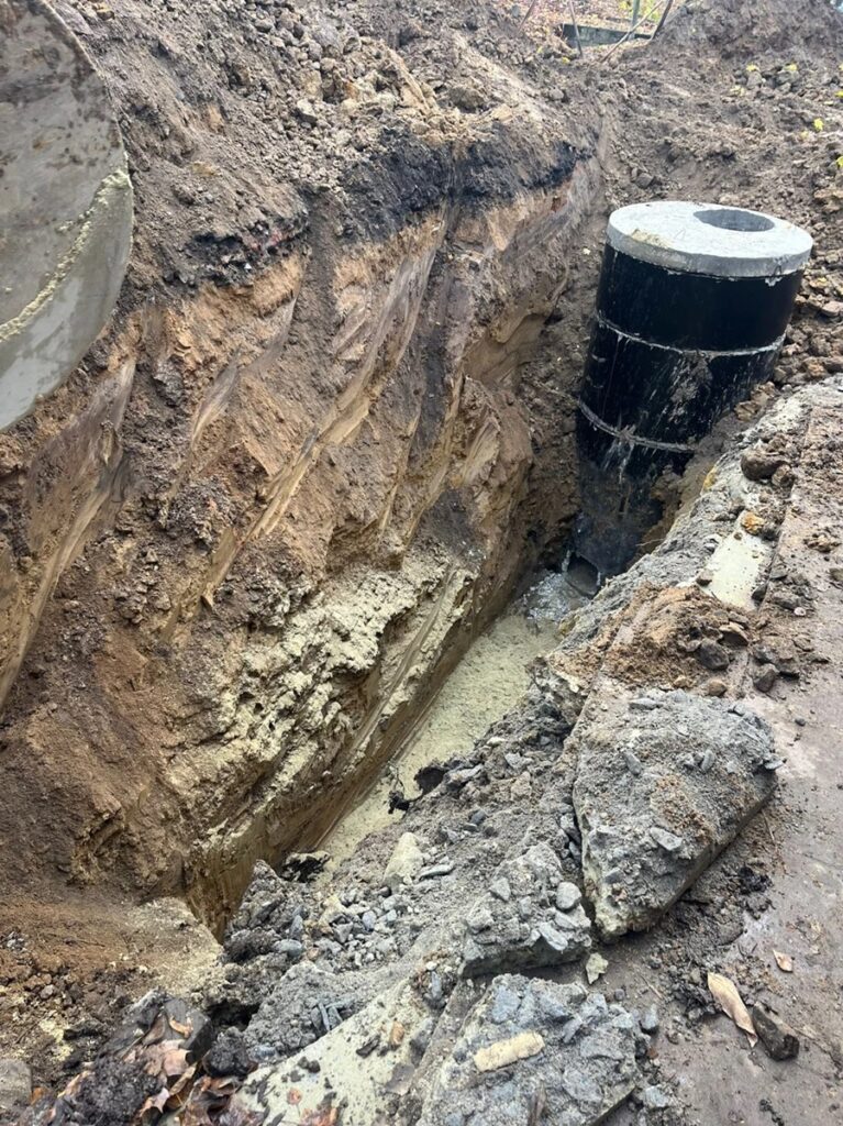 У Львові за 84,6 млн грн реконструюють парк-пам’ятку «Кульпарків» - 2