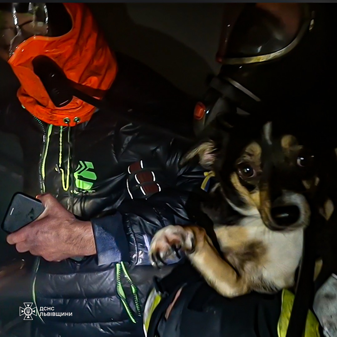 Пожежа у львівській квартирі: рятувальники врятували п’ятеро людей, двоє травмовані - 2