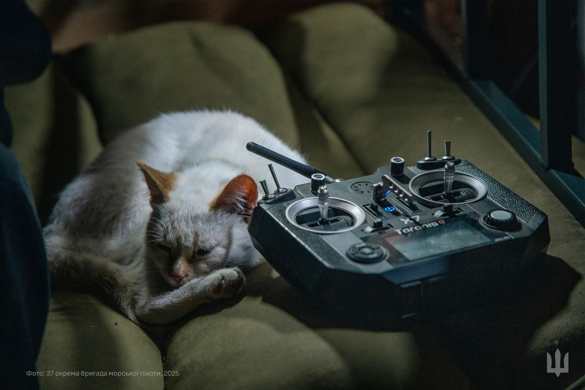 602895337_1221218880191188_2624191538192001611_n