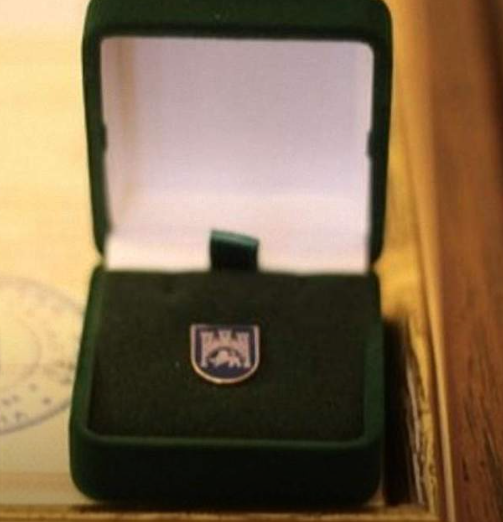 Від «Залізного Лева» до «Відзнаки імені Олени Степанівни»: добірка нагород Львова - 3