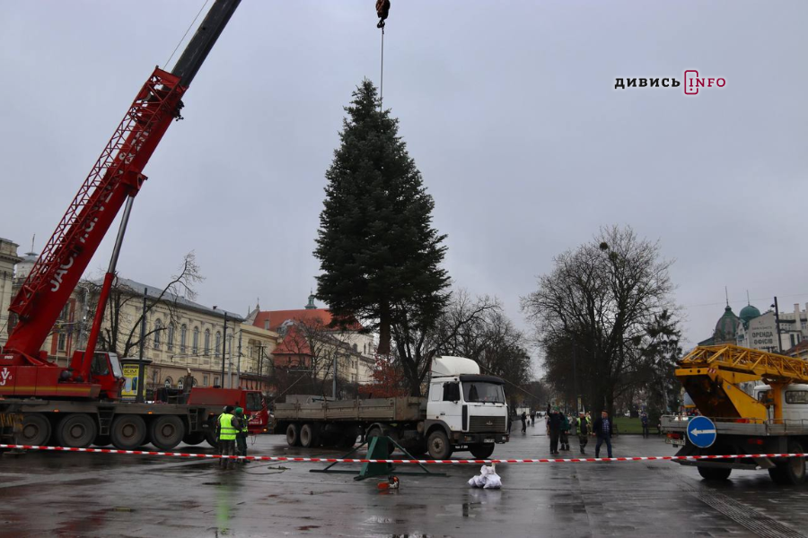 У Львові встановили головну ялинку (фото/відео) - 10