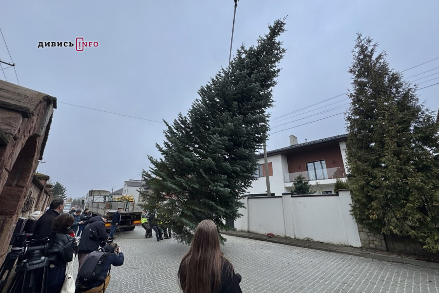 У Львові встановили головну ялинку (фото/відео) - 11